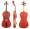 Cardenes Viola Pictures